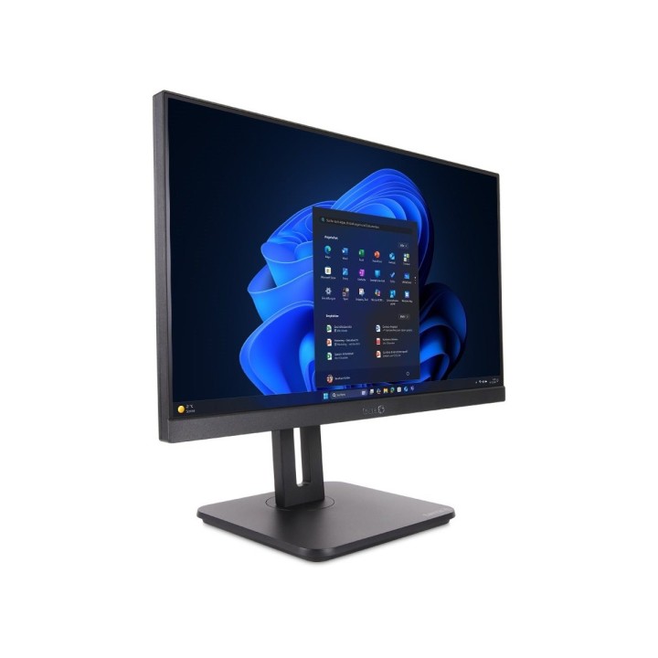 TERRA ALL-IN-ONE-PC 2420HA V2 GREENLINE