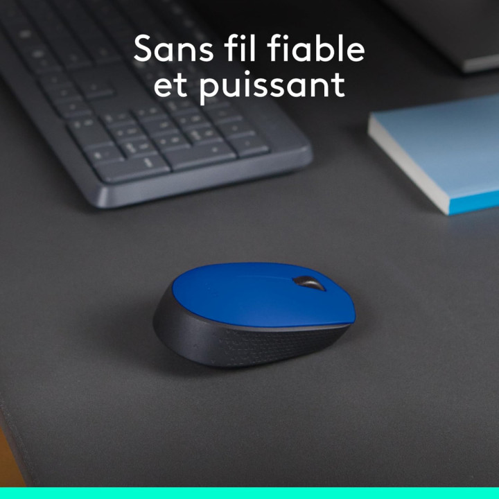 Logitech M171 - Souris sans fil optique 1000 dpi, USB 2.0, bleu