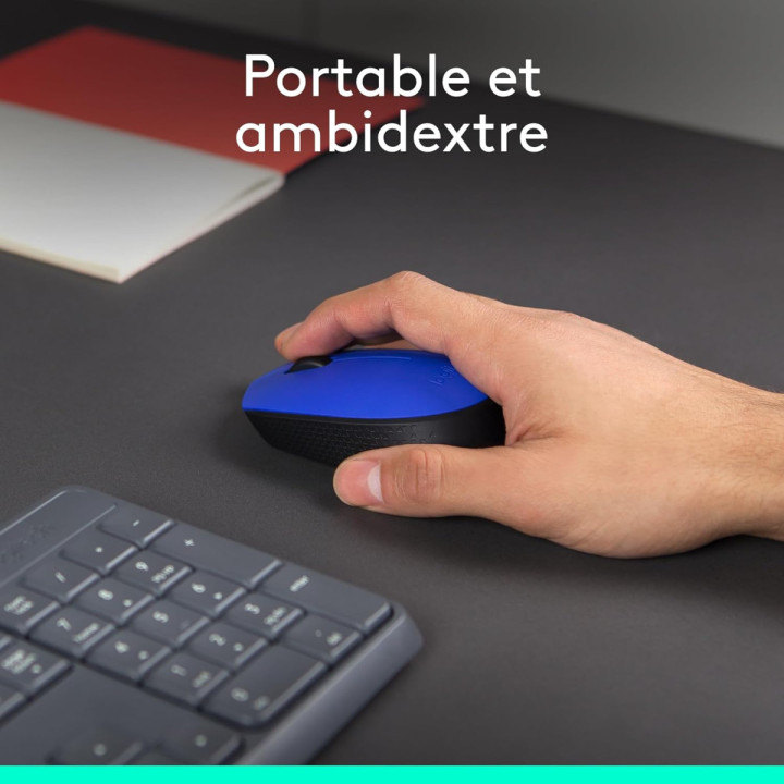 Logitech M171 - Souris sans fil optique 1000 dpi, USB 2.0, bleu