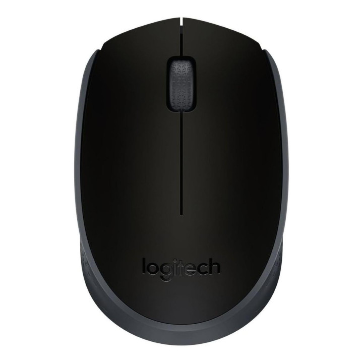 Logitech M171 Souris sans fil - Optique 1000 dpi, USB 2.0, noir