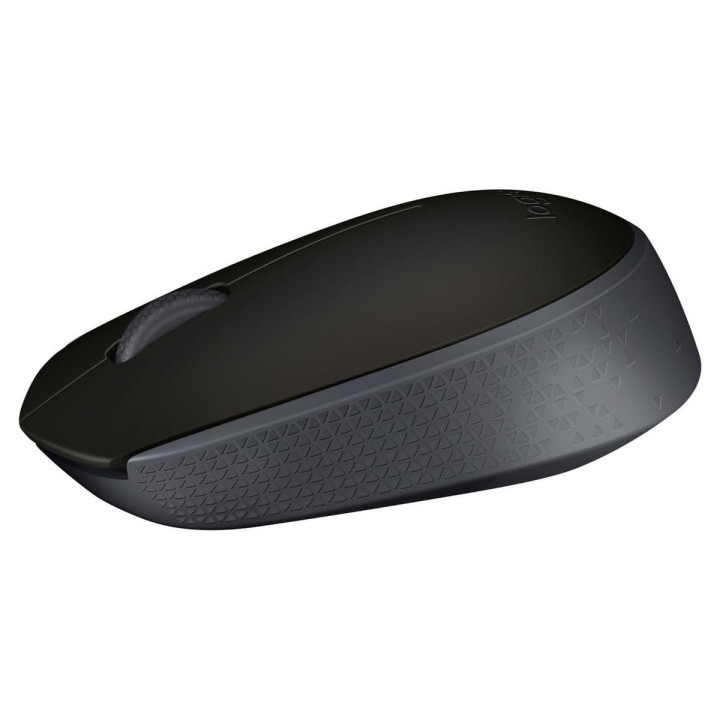 Logitech M171 Souris sans fil - Optique 1000 dpi, USB 2.0, noir